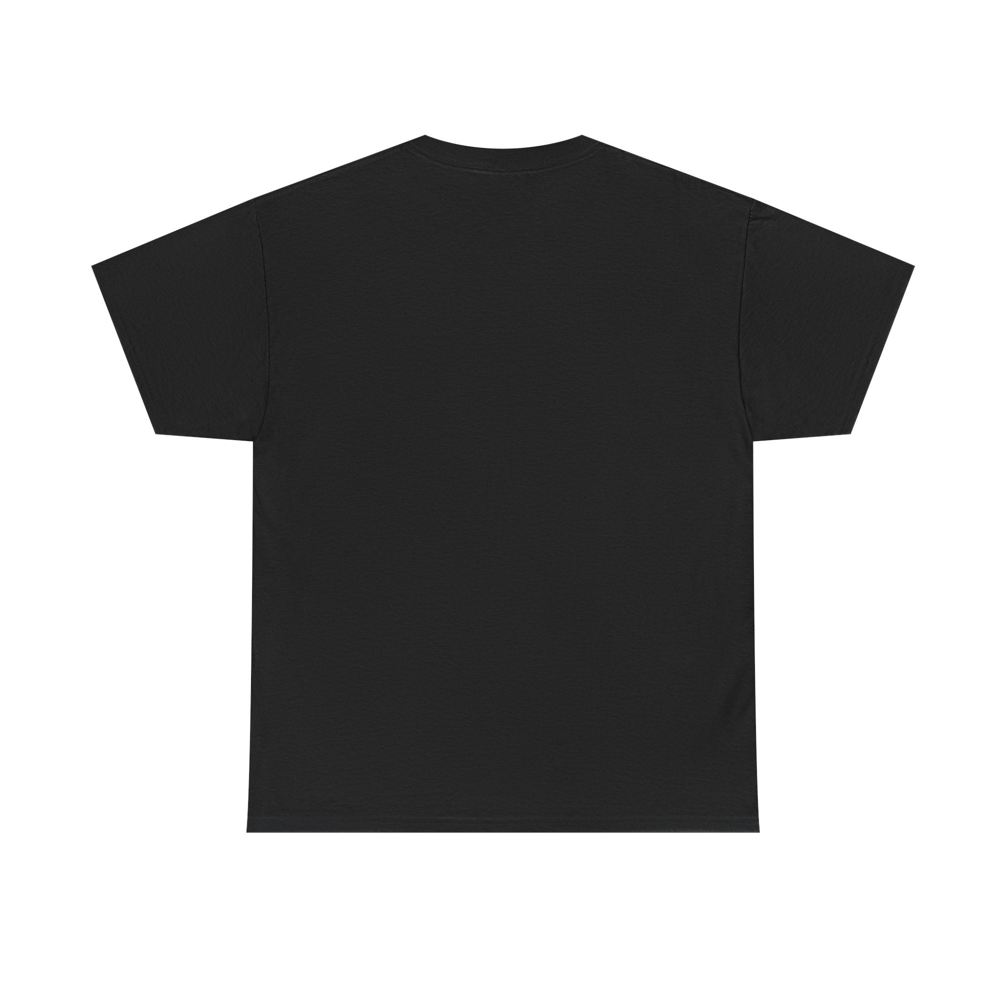 I Don't Duck With You duck character T-Shirt | streetwear graphic tee