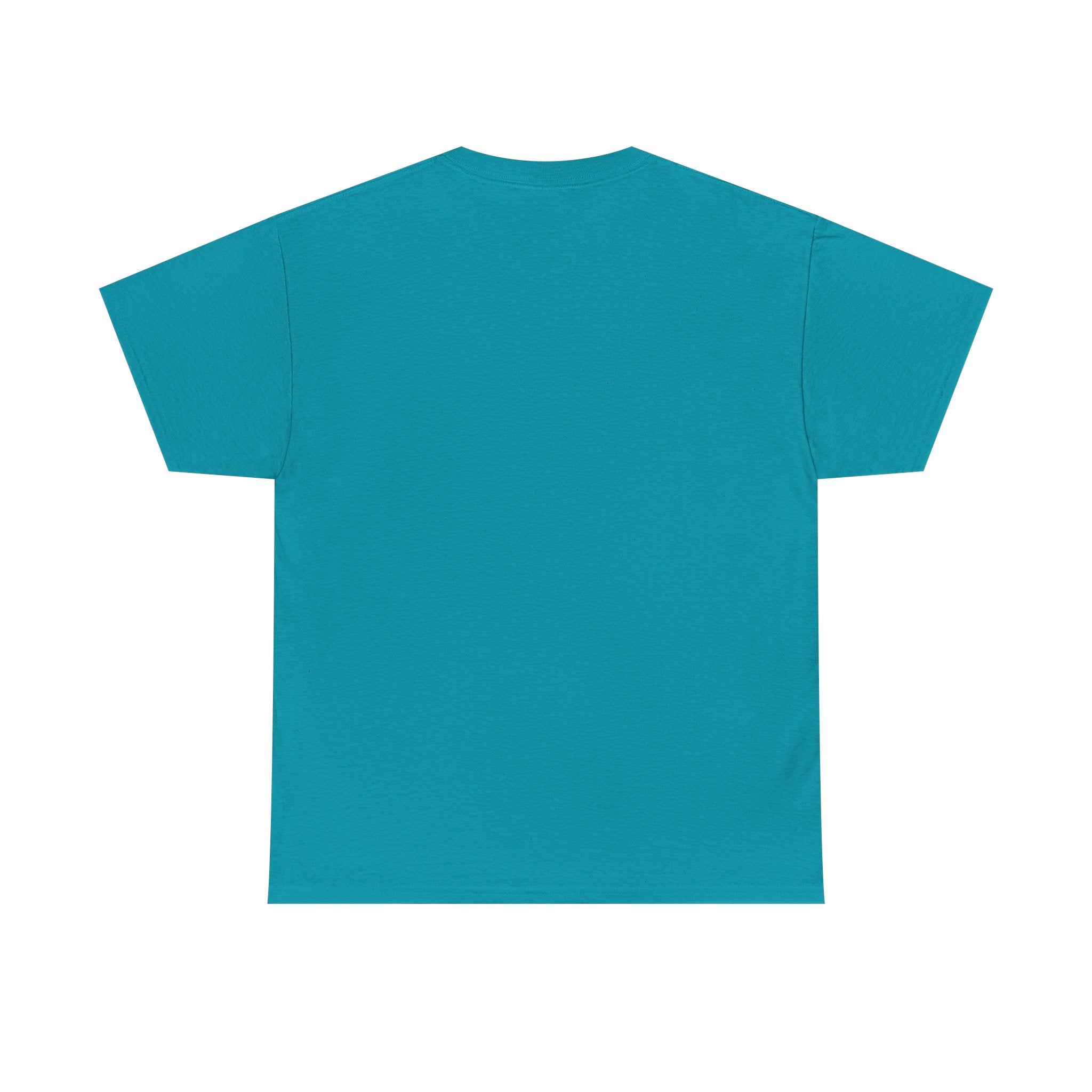 I Don't Duck With You duck character T-Shirt | streetwear graphic tee