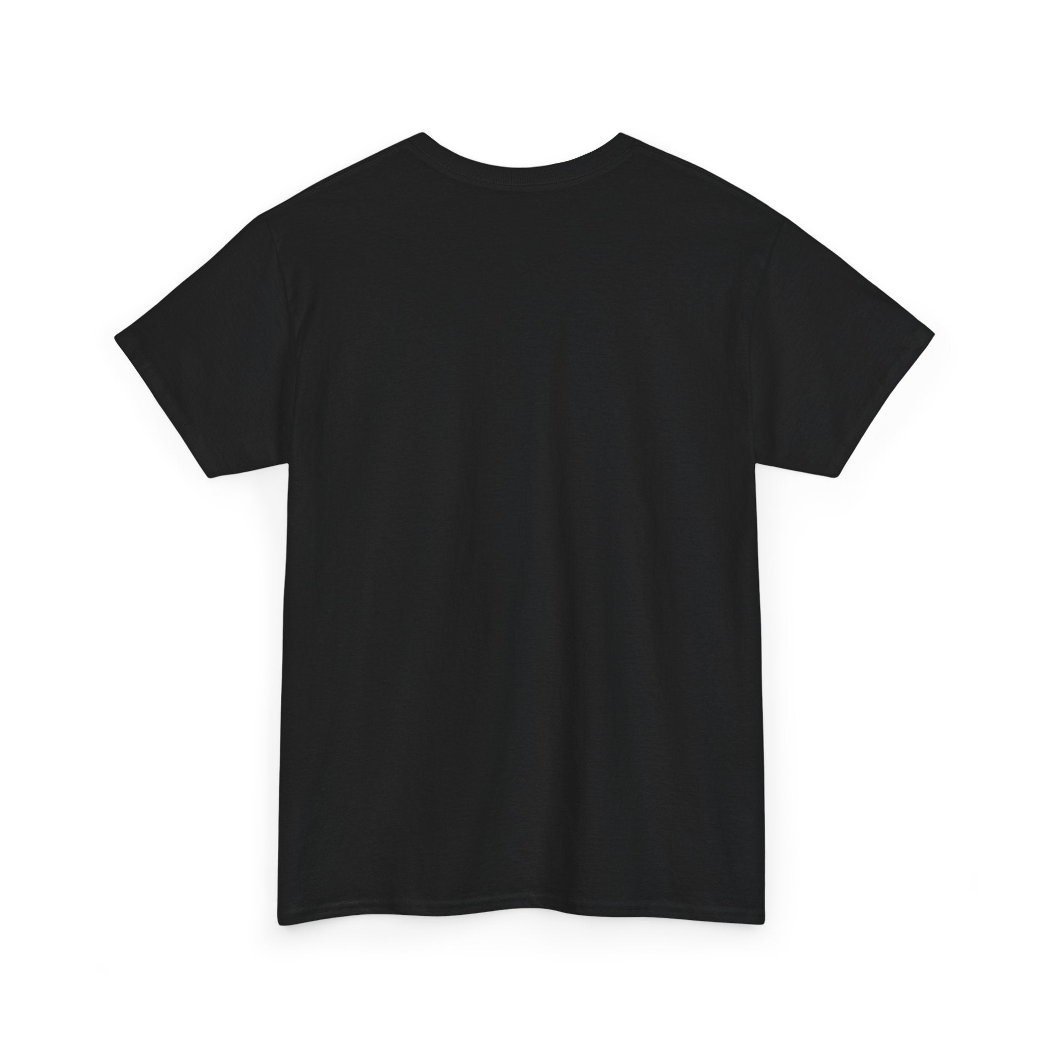 I Don't Duck With You duck character T-Shirt | streetwear graphic tee