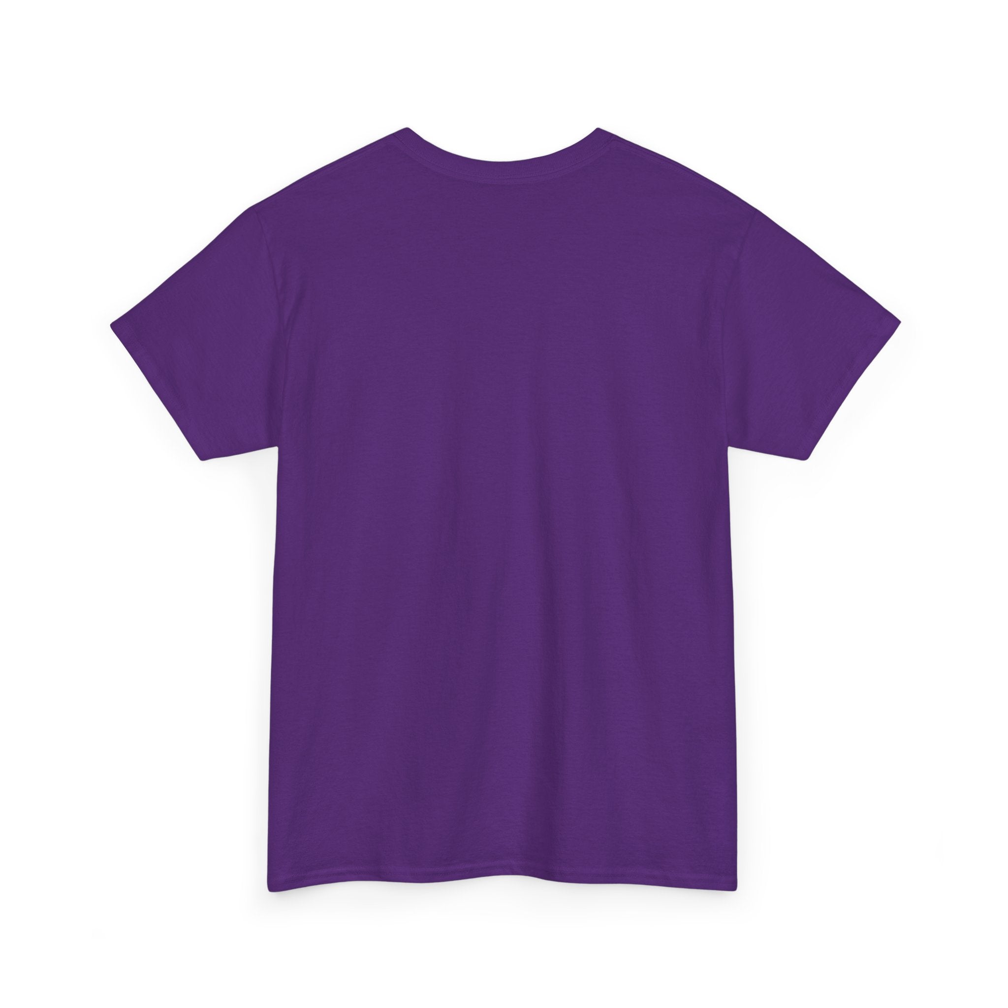 I Don't Duck With You duck character T-Shirt | streetwear graphic tee