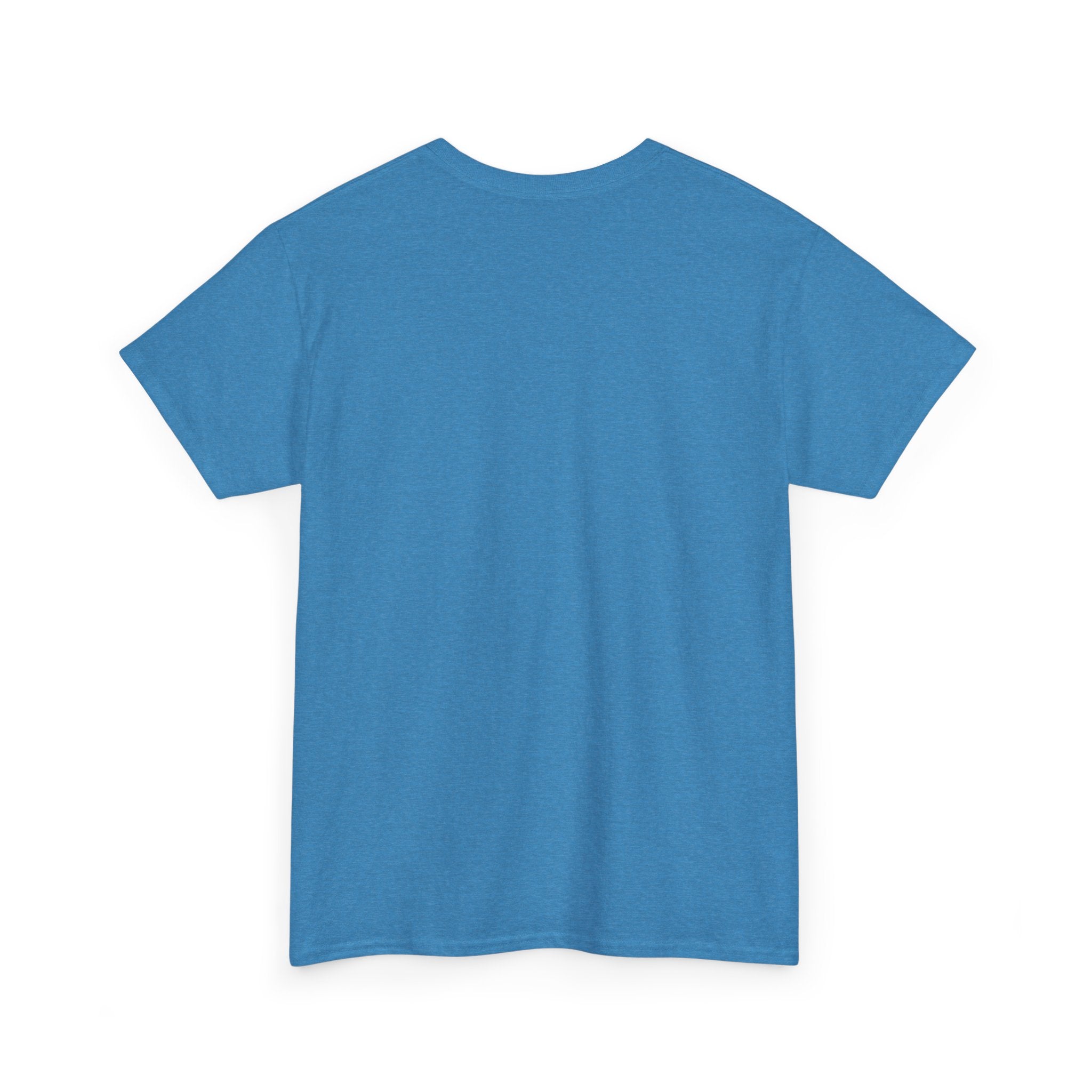 I Don't Duck With You duck character T-Shirt | streetwear graphic tee