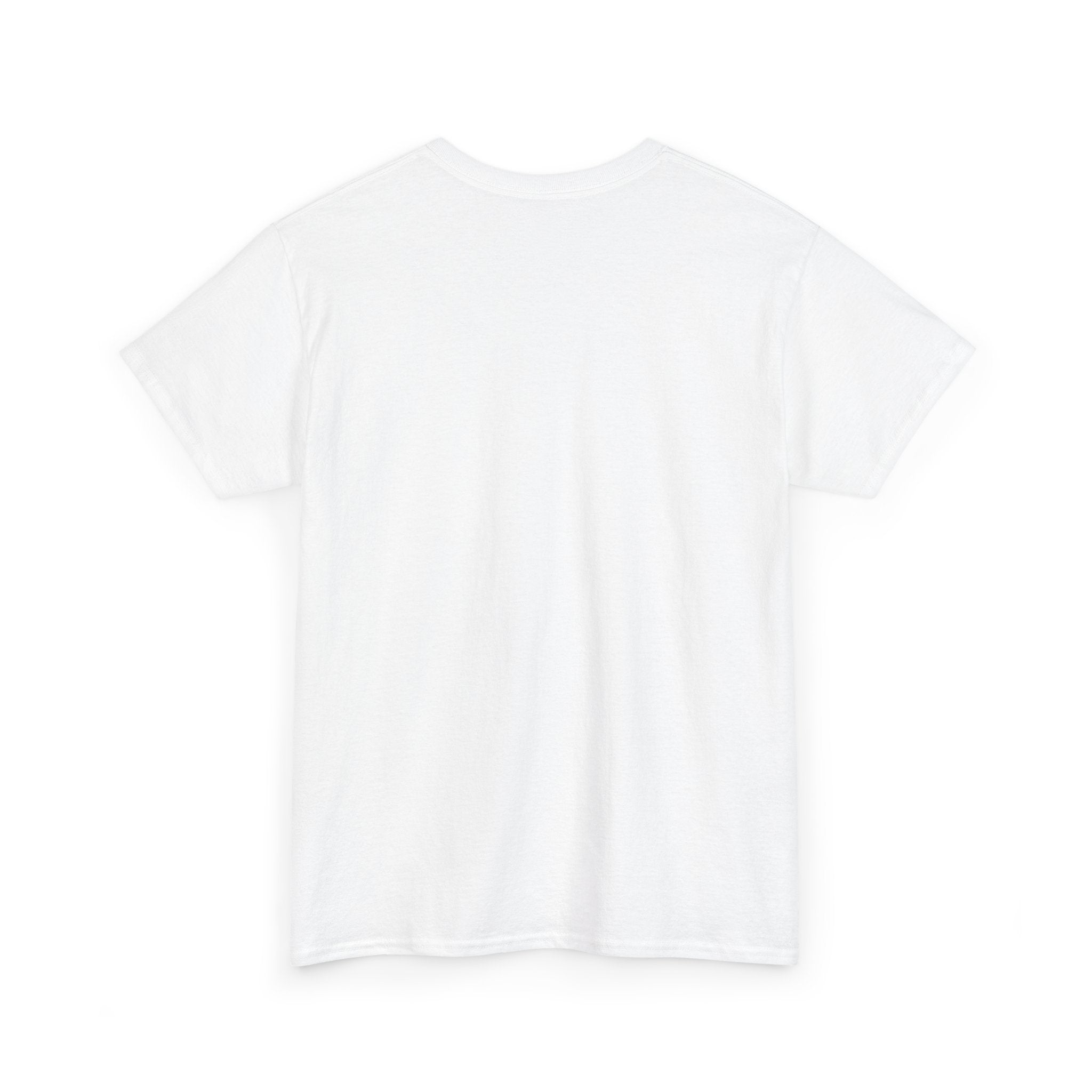 I Don't Duck With You duck character T-Shirt | streetwear graphic tee