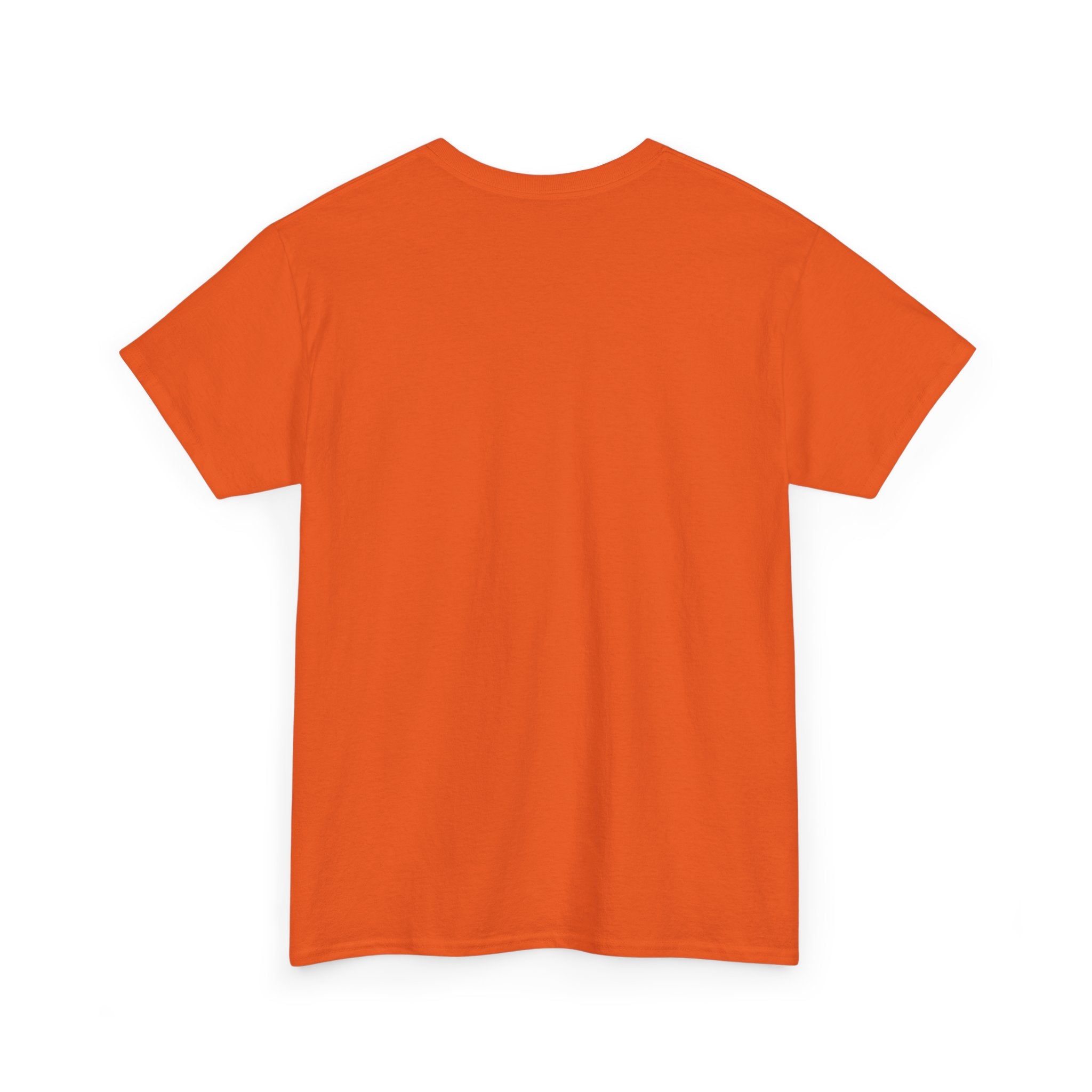 I Don't Duck With You duck character T-Shirt | streetwear graphic tee